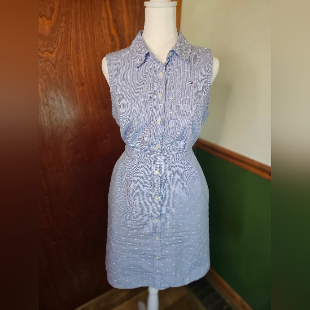Blue Sleeveless Button-Up Dress